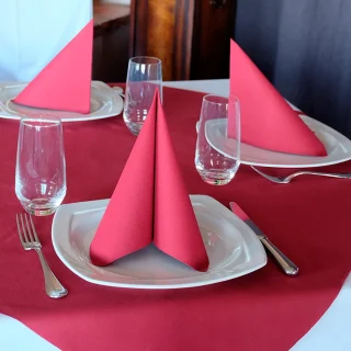 PACKx50 SERVILLETA AIRLAID BURDEO 1/4