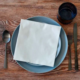 PACK x50 SERVILLETA DRYLACE  1/4 BLANCO