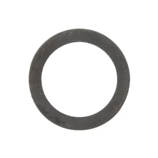 Arandela tambor Electrolux, AEG 50099250008