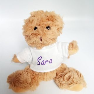 Peluche con camiseta personalizado